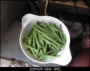 Click image for larger version. 

Name:	051813-beans.jpg 
Views:	925 
Size:	34.3 KB 
ID:	288